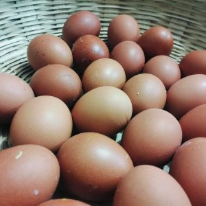 ডিম- শস্যহাট